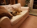 IMG-20181221-WA0002