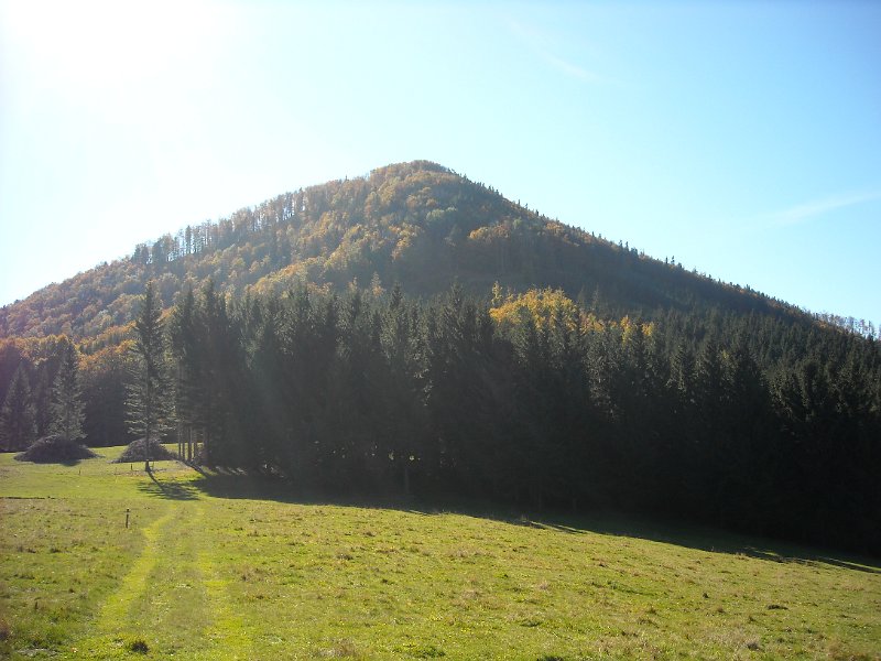 DSCN2016.JPG