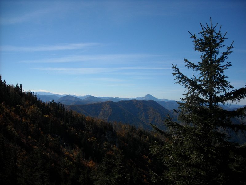 DSCN2019.JPG