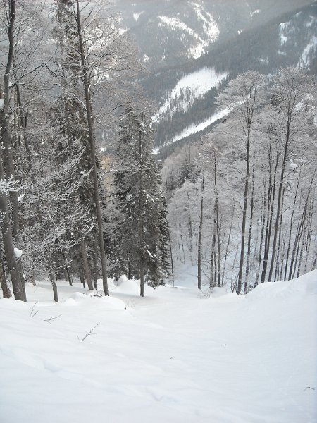 DSCN1668.JPG