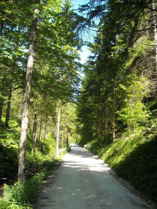 DSCN0920