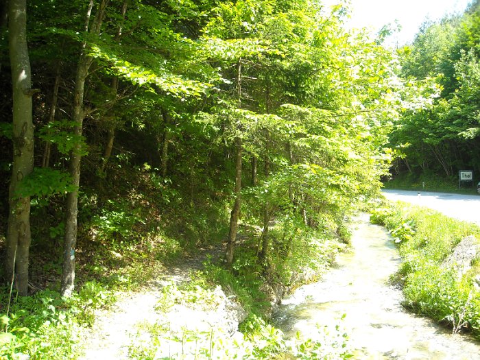 DSCN0935