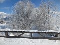 IMG_1738