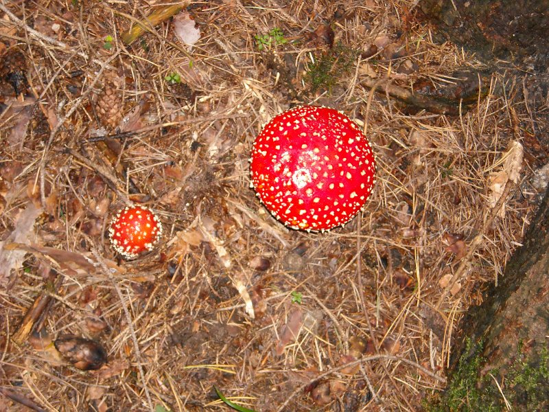 DSCN1213.JPG