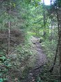 DSCN1254
