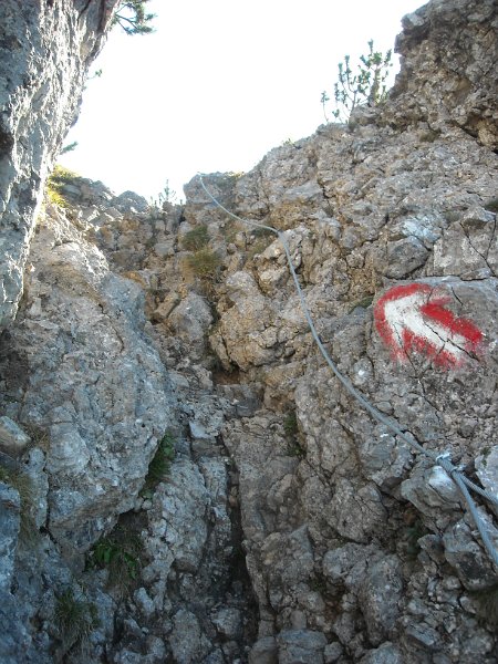 DSCN1966.JPG
