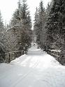 53_roessingloipe
