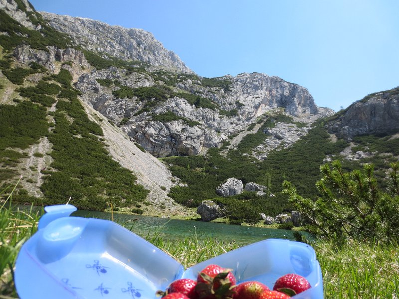 IMG_0138.JPG - Erdbeeren aus Maria Anzbach am Silberkarsee