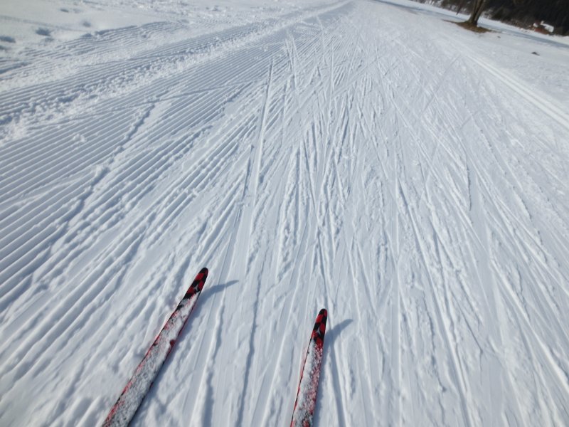 IMG_0668.JPG - Skating auf Standardloipe beim Rittisberg