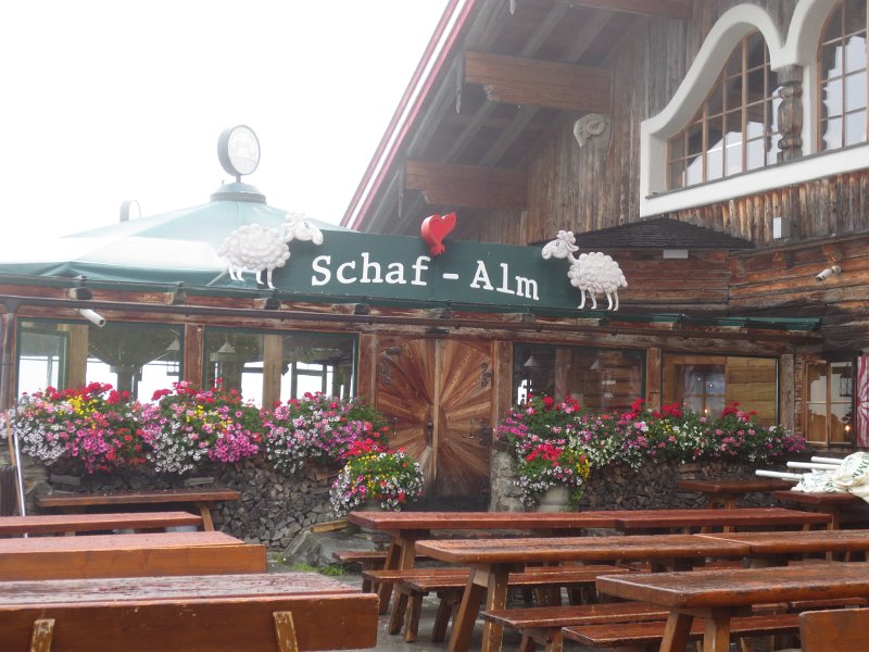 IMG_1454.JPG - Schaf-Alm Planai
