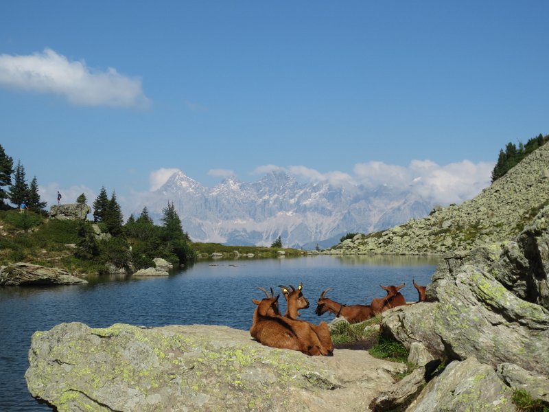 IMG_1470.JPG - Spiegelsee