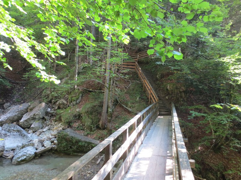 IMG_1523.JPG - Wörschachklamm