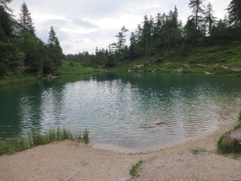 IMG_0729.JPG