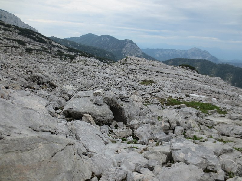 IMG_0787.JPG