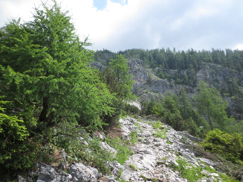 IMG_1262.JPG - Weg zum "Hohen Nock"