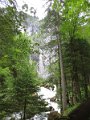 IMG_1237