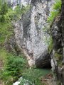 IMG_1241