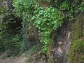 IMG_1249