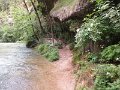 IMG_1251