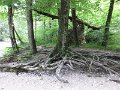 IMG_1252