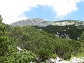 IMG_1264