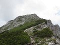 IMG_1267