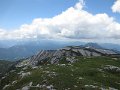IMG_1272