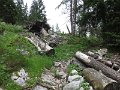 IMG_1291