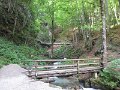 IMG_1302