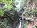 IMG_1304