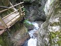 IMG_1306