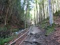 IMG_1316