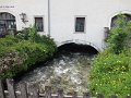 IMG_1328