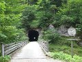 IMG_1342