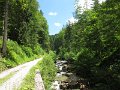 IMG_1345